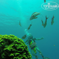 фото из отзыва ID 1210489