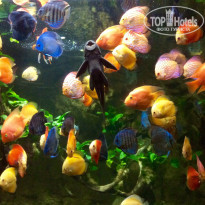 фото из отзыва ID 1210500