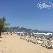 фото из отзыва ID 1210342