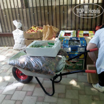 фото из отзыва ID 1210615