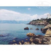 фото из отзыва ID 1210805