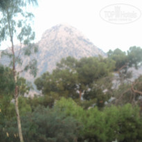 фото из отзыва ID 1210887