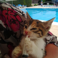 фото из отзыва ID 1210957