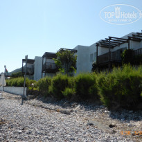 фото из отзыва ID 1211115