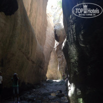 фото из отзыва ID 1211269