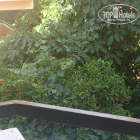 фото из отзыва ID 1211426