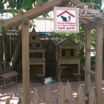 фото из отзыва ID 1211426