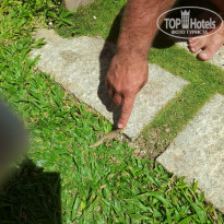 фото из отзыва ID 1211159