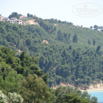 фото из отзыва ID 1211578