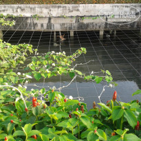 фото из отзыва ID 1211686