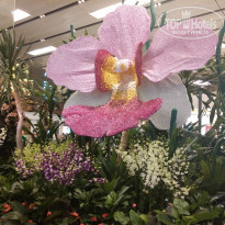 фото из отзыва ID 1210562