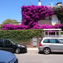 фото из отзыва ID 1211733