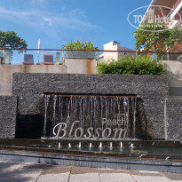 фото из отзыва ID 1210574