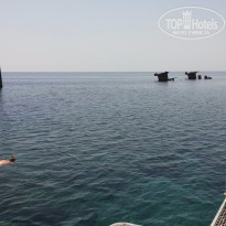 фото из отзыва ID 1211765