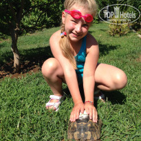 фото из отзыва ID 1211892