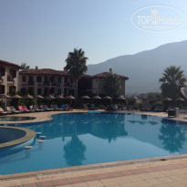 фото из отзыва ID 1211892