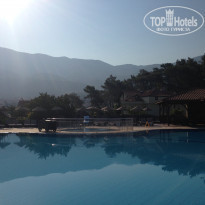 фото из отзыва ID 1211892