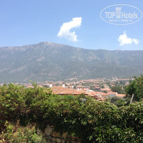 фото из отзыва ID 1211892