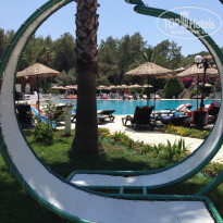 фото из отзыва ID 1211892