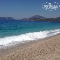 фото из отзыва ID 1211892