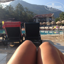 фото из отзыва ID 1211892