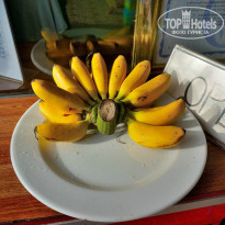 фото из отзыва ID 1210577