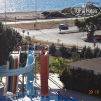 фото из отзыва ID 1212061