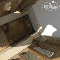 фото из отзыва ID 1212158