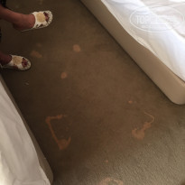 фото из отзыва ID 1212158