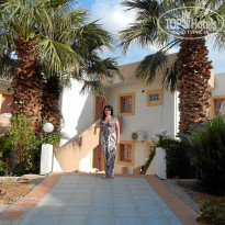 фото из отзыва ID 1212250