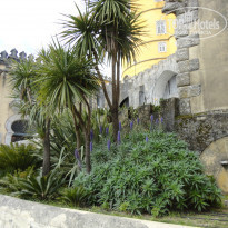 фото из отзыва ID 1212360