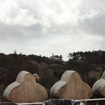 фото из отзыва ID 1212360