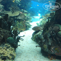 фото из отзыва ID 1212360