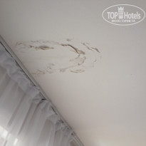 фото из отзыва ID 1212367