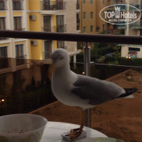 фото из отзыва ID 1212367