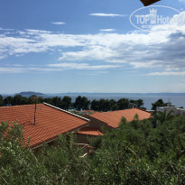 фото из отзыва ID 1212727