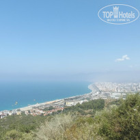 фото из отзыва ID 1212714