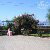 фото из отзыва ID 1212882