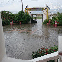 фото из отзыва ID 1212882