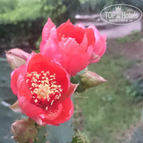 фото из отзыва ID 1212882