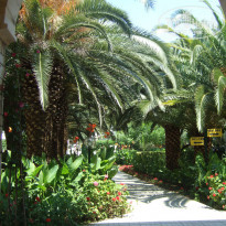 фото из отзыва ID 1213017