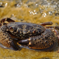 фото из отзыва ID 1213135