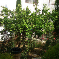 фото из отзыва ID 1213253