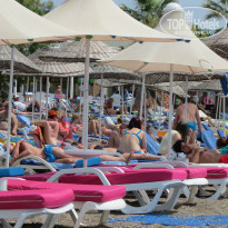 фото из отзыва ID 1213347