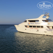 фото из отзыва ID 1213436