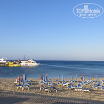 фото из отзыва ID 1213436