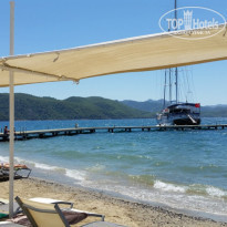 фото из отзыва ID 1213494