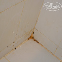 фото из отзыва ID 1213642