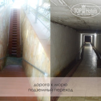 фото из отзыва ID 1213815