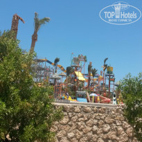 фото из отзыва ID 1213913